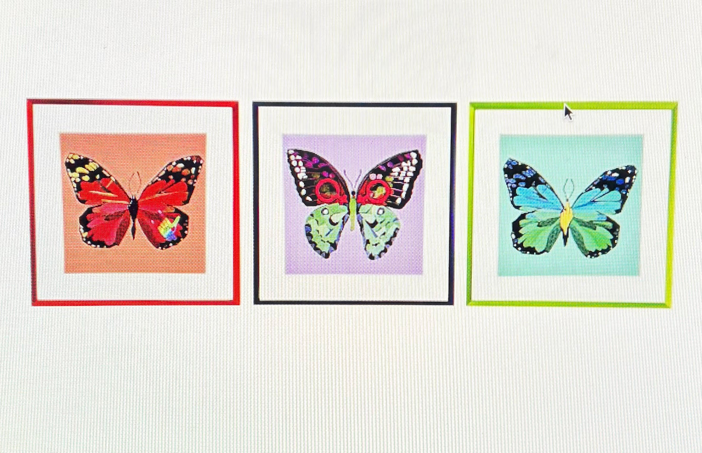 Butterfly Silent Protest Boxed Art Print Set