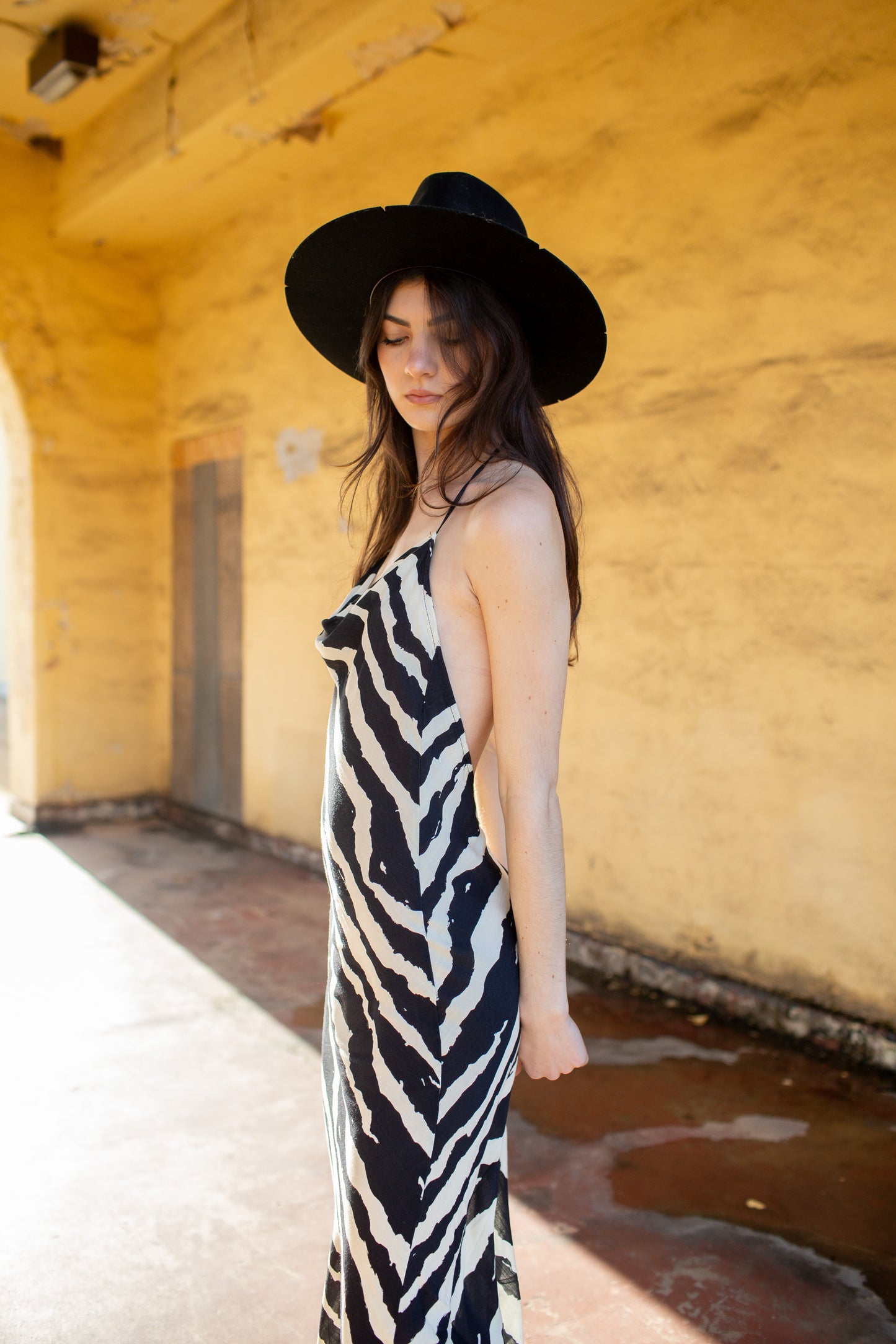 Uriel Zebra Printed Slip Maxi Dress by Beulah