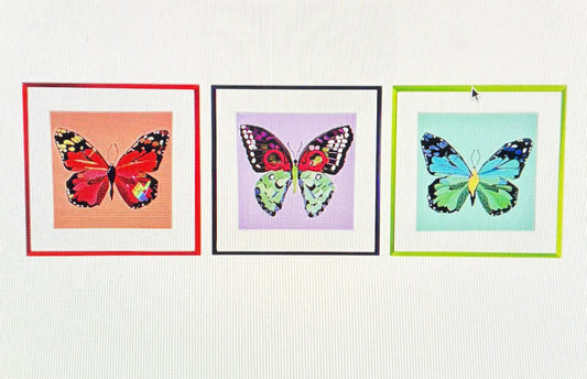Butterfly Silent Protest Boxed Art Print Set